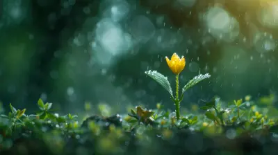 How to Differentiate Yourself in a Saturated Market