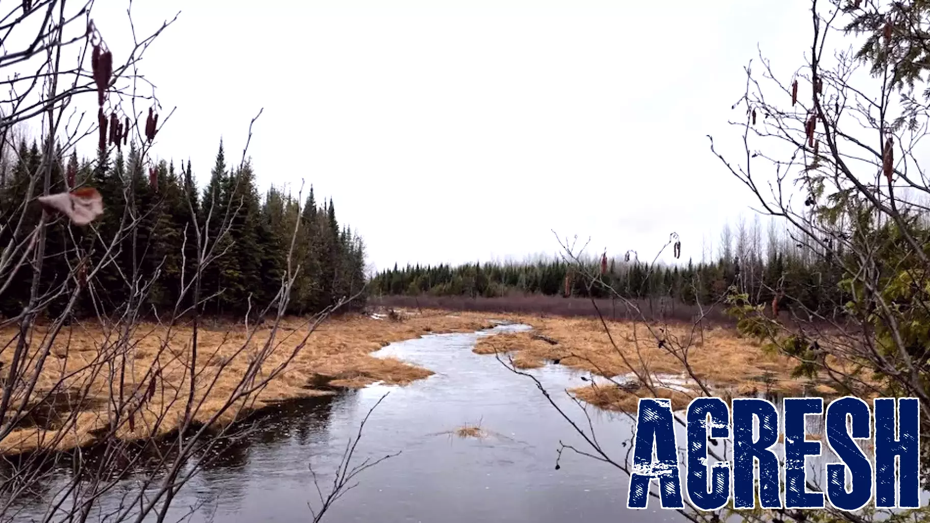 Mi'kmaq Nation acquires 3,400 acres in Maine, doubling tribal land holdings