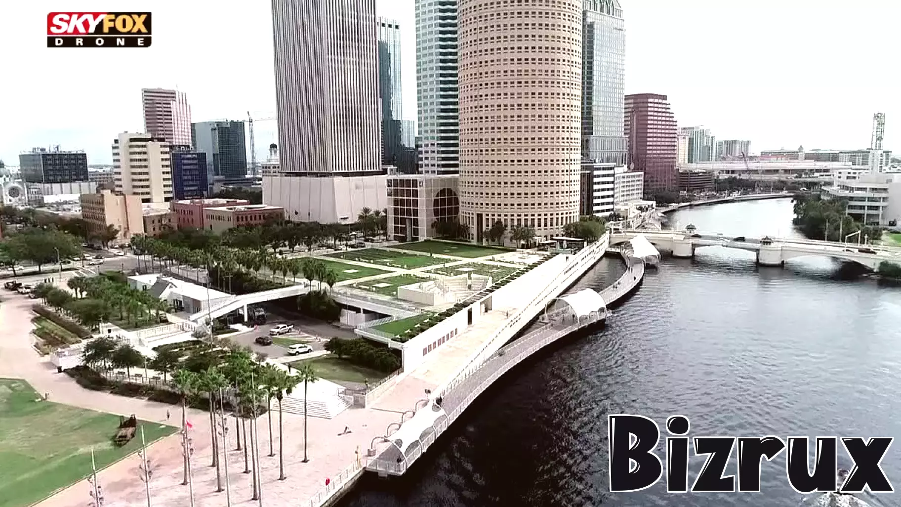 Tampa Bay Emerges as a Leading Hub for New Business Applications