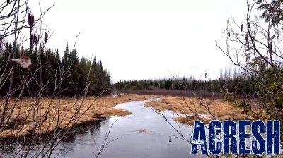 Mi'kmaq Nation acquires 3,400 acres in Maine, doubling tribal land holdings